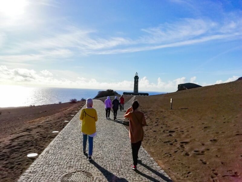 Faial Island: Half-Day Tour  Nature Highlights - Key Points