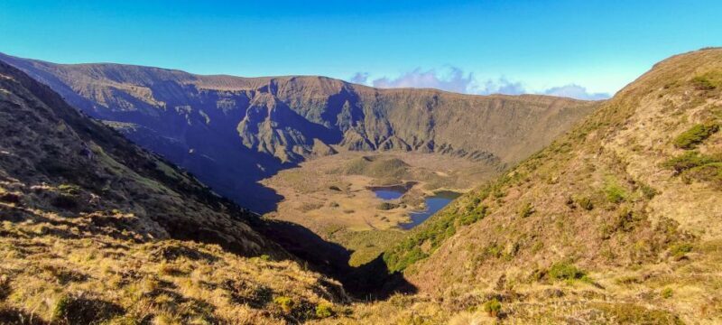 Faial Island: Half-Day Tour  Nature Highlights - Who Should Book This Tour?