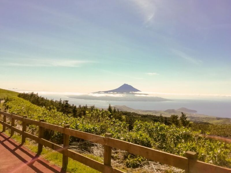 Faial Island: Half-Day Tour  Nature Highlights - Final Thoughts
