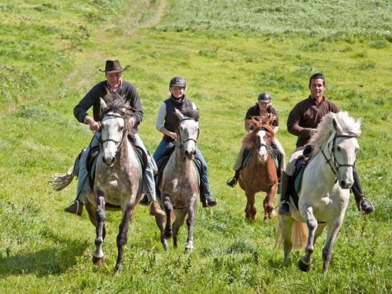 Faial Island: Horseback Riding (3 hrs - Experienced Riders) - A Closer Look at the Faial Horseback Riding Experience