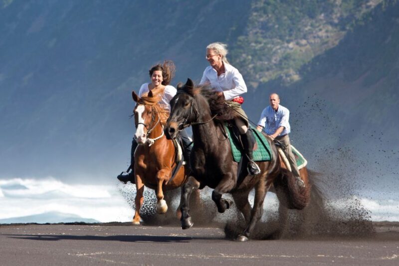 Faial Island: Horseback Riding (3 hrs - Experienced Riders) - Authentic Experiences from Past Participants