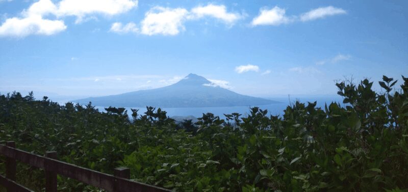 Faial Island: Personalized tour with Pic Nic - Authentic Experiences and Practical Details