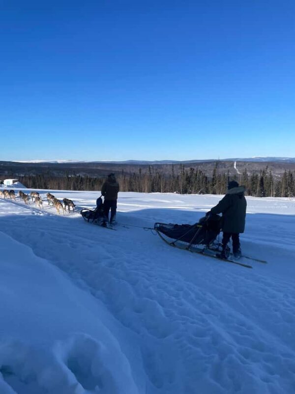 Fairbanks: 2-Hour Basic Dog Mushing School - What to Expect: A Step-by-Step Breakdown