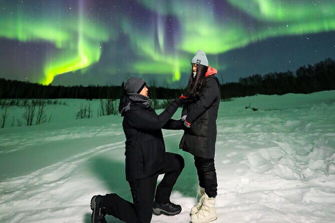 Fairbanks Aurora Borealis Night Tour - What We Loved