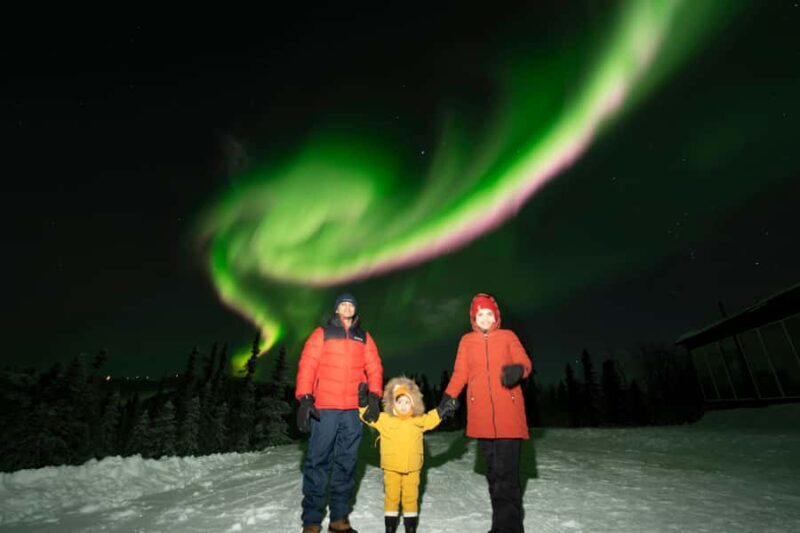 Fairbanks: Aurora Glass House Experience at Cleary Summit - Who Should Consider This Tour?