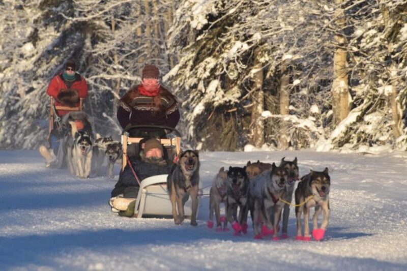 Fairbanks: Dog Sledding and Mushing Experience - Fairbanks: Dog Sledding and Mushing Experience — An Authentic Alaskan Adventure