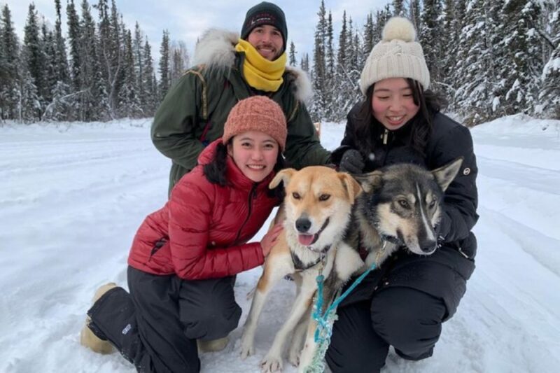 Fairbanks: Dog Sledding and Mushing Experience - Key Points