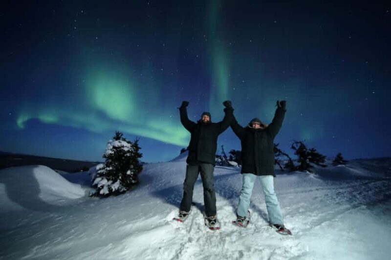 Fairbanks: Electric Moose Studios Aurora Adventure W/Pizza!! - Who Will Love This Tour?