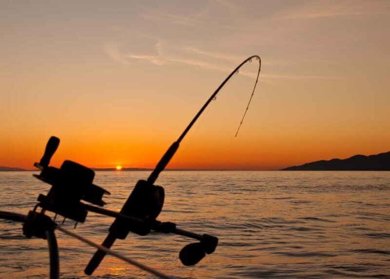 Fairbanks: Half-Day Fishing Trip with Hotel Pickup - Fairbanks: Half-Day Fishing Trip with Hotel Pickup