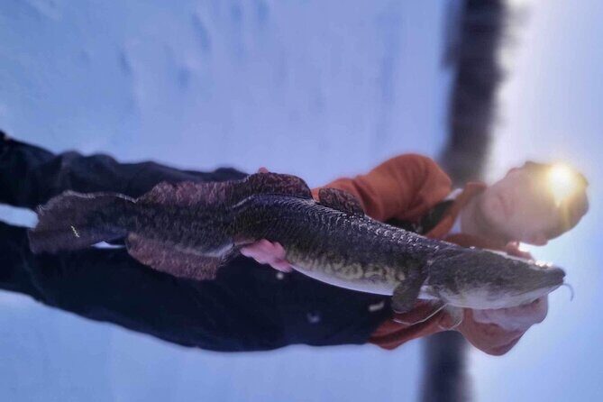 Fairbanks Ice Fishing with Transportation - A Closer Look at the Fairbanks Ice Fishing Tour