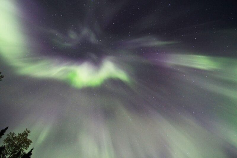 Fairbanks: Moonlight Dog Sled, Dinner & Northern Lights - Starting Point and Logistics
