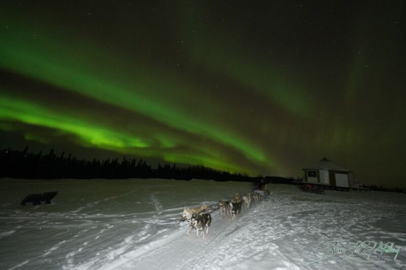Fairbanks: Moonlight Dog Sled, Dinner & Northern Lights - Aurora Borealis Viewing: Nature’s Yet Unpredictable Show