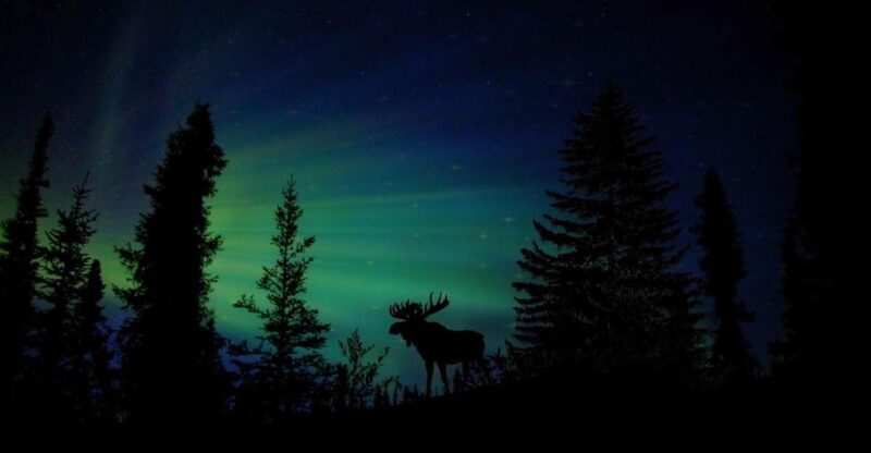 Fairbanks: Northern Lights and Chena Hot Springs Tour - Final Thoughts: Is This Tour Right for You?