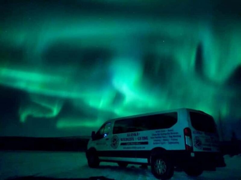 Fairbanks: Northern Lights & Arctic Circle Tour - The Route and What Youll See