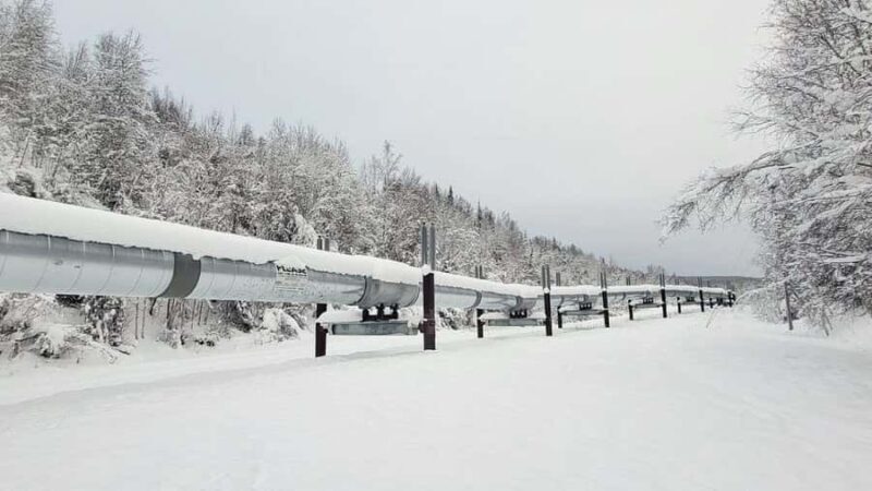 Fairbanks: Northern Lights & Arctic Circle Tour - The Experience of the Guide and Vehicle