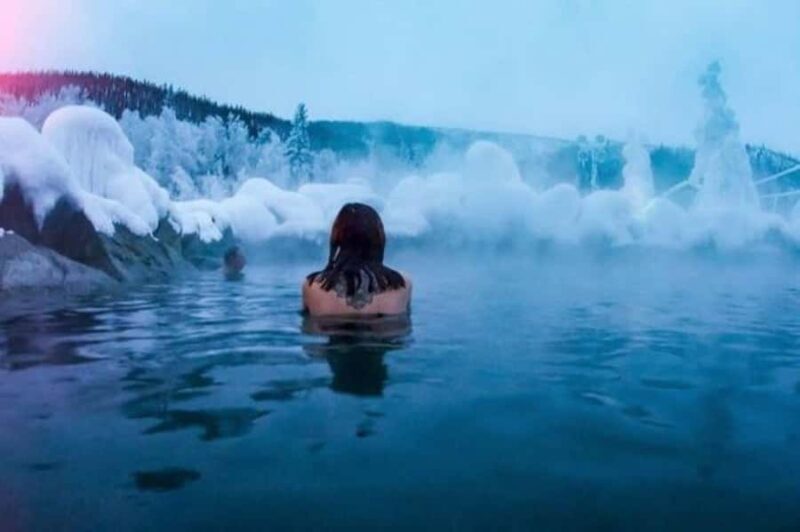 Fairbanks: Northern Lights & Chena Hot Springs Tour - An In-Depth Look at the Fairbanks Northern Lights & Chena Hot Springs Tour