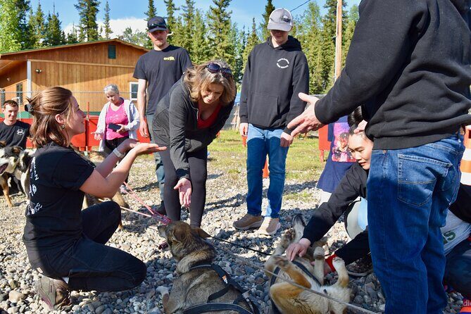 Fairbanks Sled Dog Adventure with Campfire & S'mores - What to Expect on This Unique Alaskan Outing