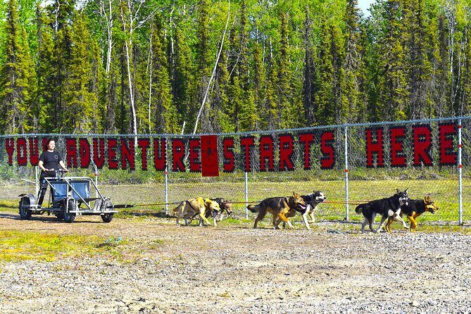 Fairbanks Sled Dog Adventure with Campfire & S'mores - Who Should Book This Experience?