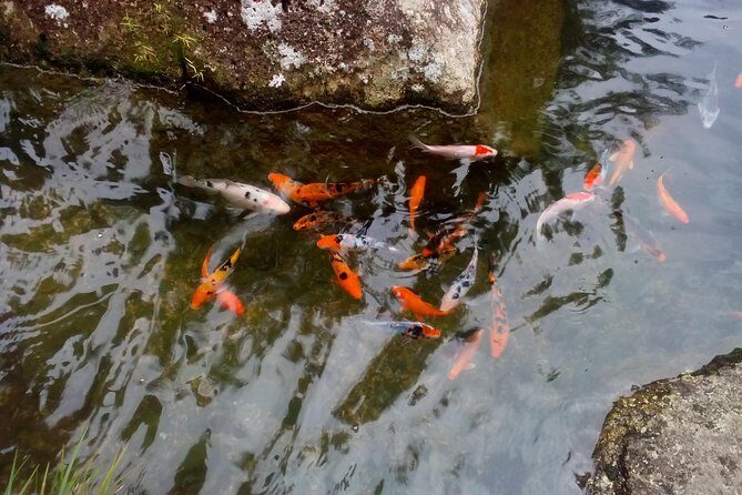 Fairy Tale Colmar Tropicale, Japanese Garden, Genting Highlands - Final Thoughts