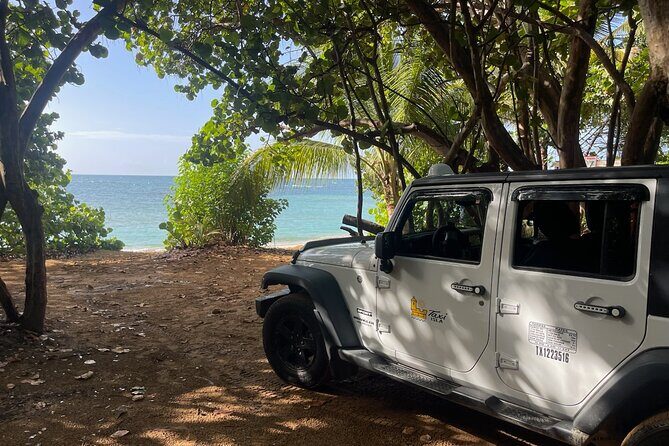 Fajardo Ceiba Ferry Marina Taxi to San Juan Taxi Transportation - Authentic Experiences and Insights from Travelers