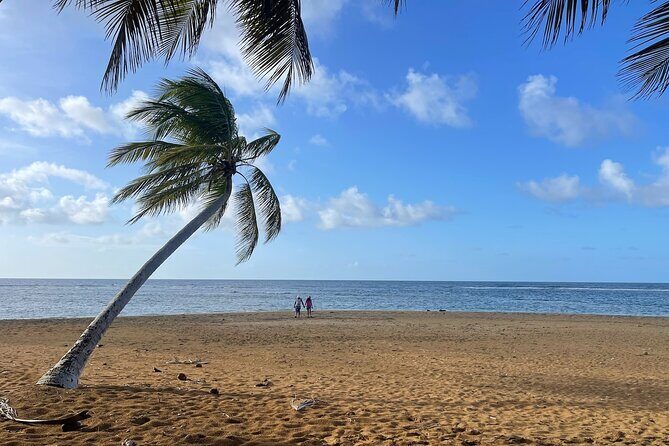 Fajardo Ceiba Ferry Marina Taxi to San Juan Taxi Transportation - Practicalities and Considerations