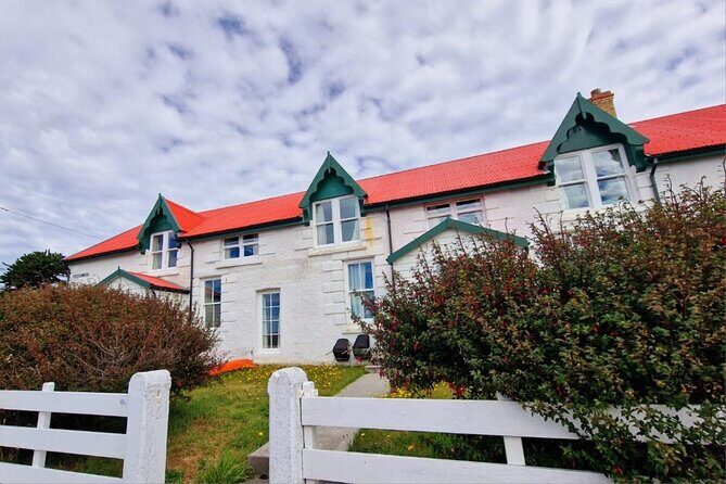 Falkland Islands Shared Tour Sightseeing with Penguins - The Sum Up