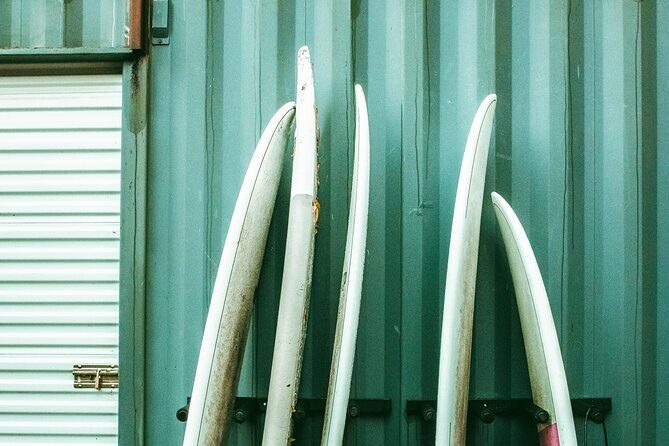 Fall Adventure Vancouver Island Grizzly Bears, High Tea and More - A Detailed Exploration of Vancouver Island’s Fall Tour