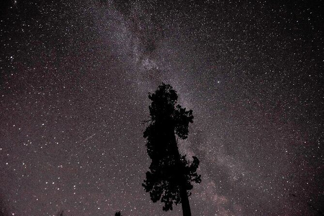 Fall Color Tour in Yukon from Whitehorse - FAQ about the Yukon Fall Color Tour