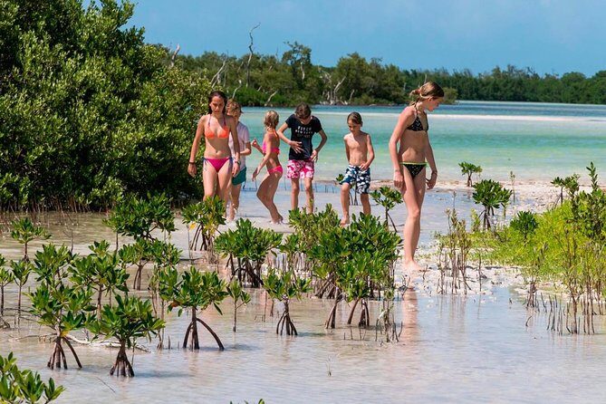 Fall in love with the Holbox island tour, Punta Mosquito & lunch. - An In-Depth Look at the Holbox Island Tour