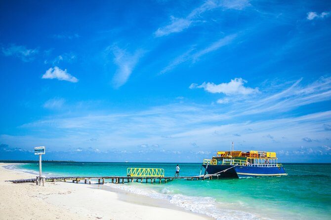 Fall in love with the Holbox island tour, Punta Mosquito & lunch. - Who Is This Tour Best For?