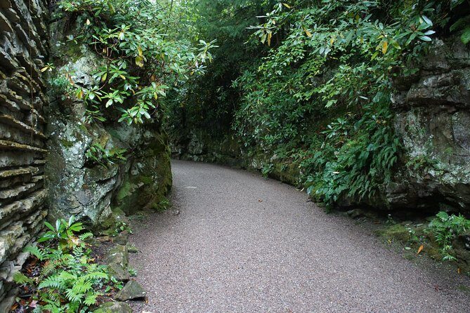 Fallingwater and Kentuck Knob - Two Visions of Frank Lloyd Wright - Why We Think This Tour Offers Great Value