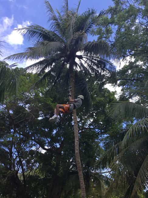 Falmouth: Dunn's River Falls, Blue Hole, and Zipline Tour - Final Thoughts