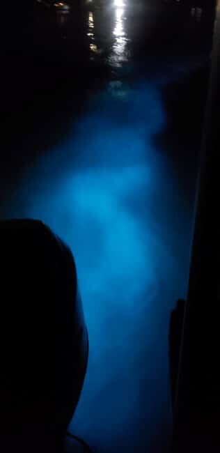 Falmouth: Luminous Lagoon Night Experience - A Deep Dive into the Falmouth Luminous Lagoon Night Experience