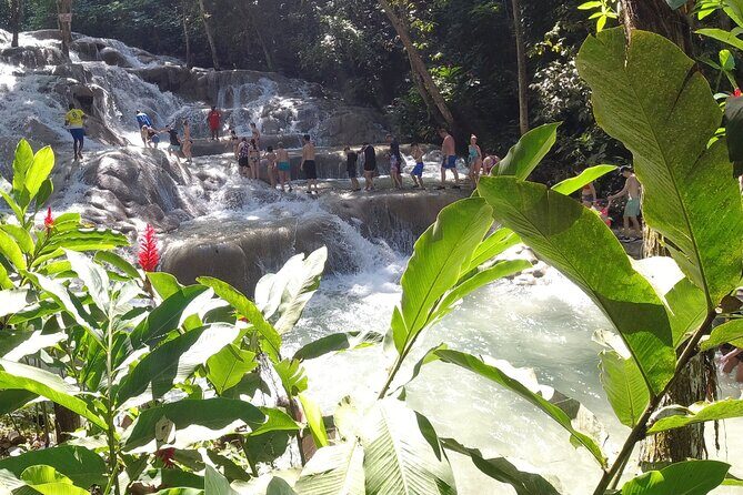 Falmouth to Ocho Rios Guided Tour (Dunn's River Falls & Shopping) - Discovering Jamaica’s Natural Wonder and Local Charm: Falmouth to Ocho Rios Guided Tour