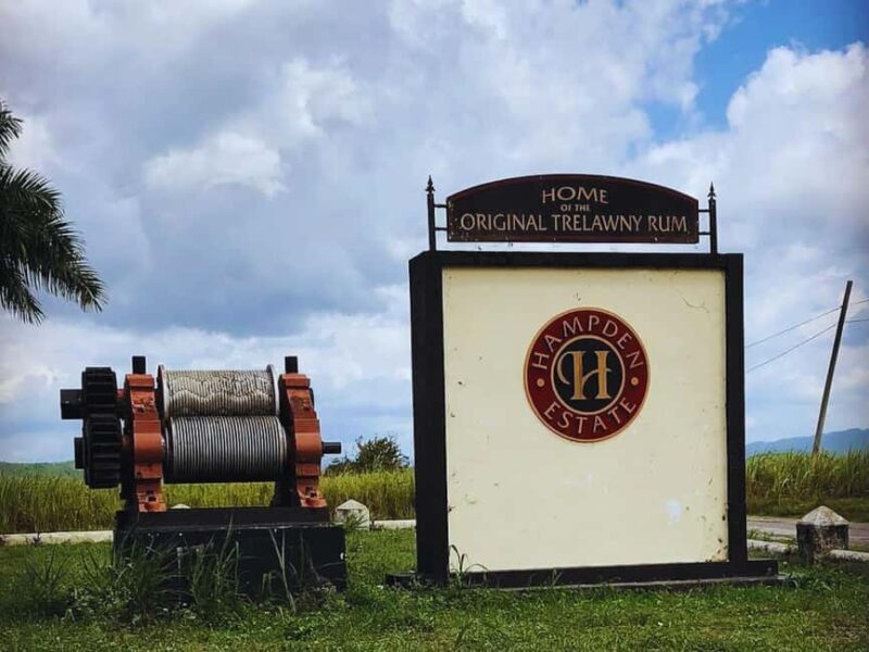 Falmouth Tour: Hampden Estate Rum Tasting Tour - Discovering Jamaica’s Rum Heritage at Hampden Estate