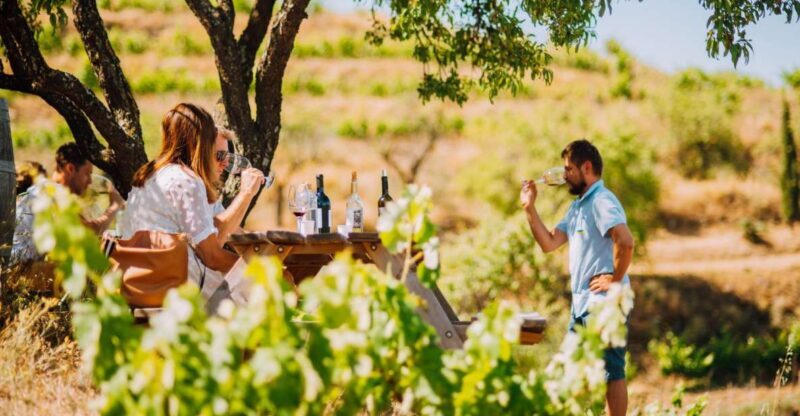 Falset: Guided Wine Tour to the Priorat by a Local - Exploring the Depths of the Priorat Wine Region