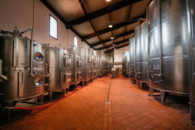 FAMIGLIA COTARELLA, NEAR ORVIETO WINE TASTE AND VISIT - A Deep Dive into the Famiglia Cotarella Wine Tour