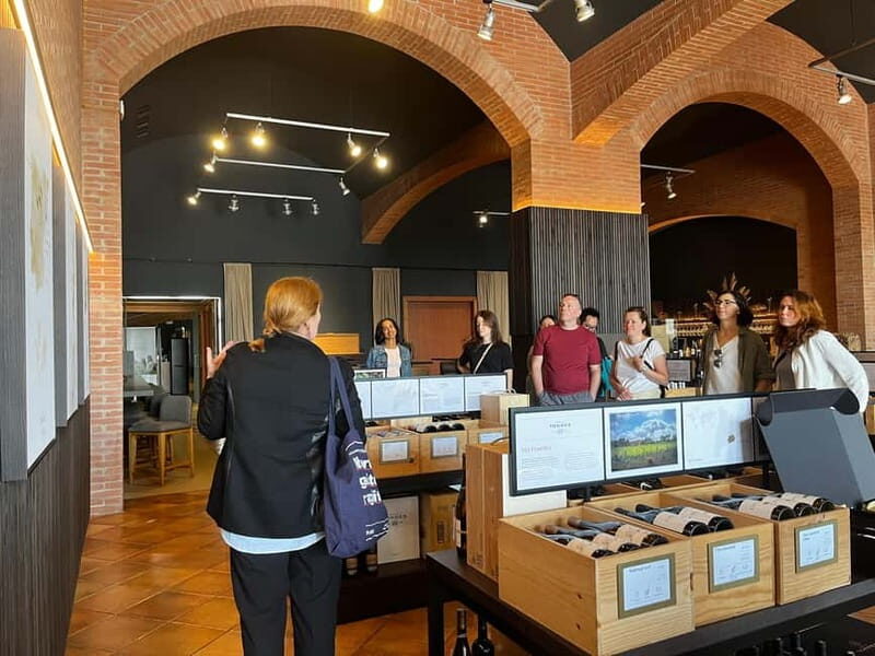 Familia Torres Winery: Gastronomic Tapas & Wine Experience - Familia Torres Winery: Gastronomic Tapas & Wine Experience