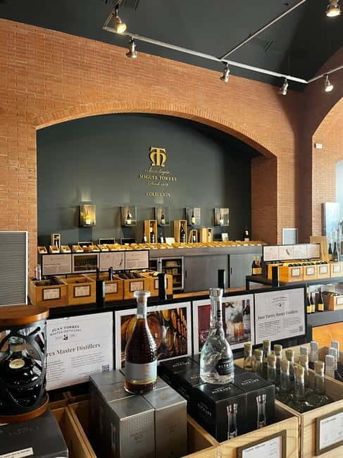 Familia Torres Winery: Gastronomic Tapas & Wine Experience - An In-Depth Look at the Familia Torres Winery Experience