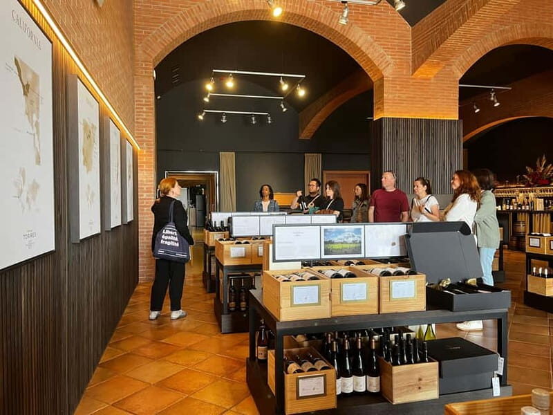 Familia Torres Winery: Gastronomic Tapas & Wine Experience - Who Will Love This Tour?