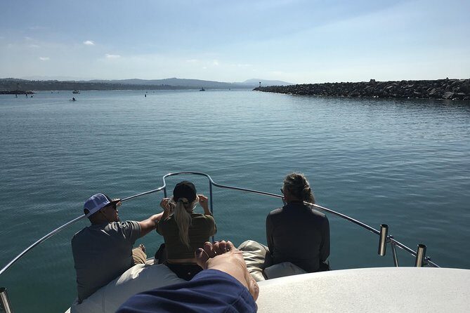 Family and Private Group Whale and Dolphin Watching - Who Will Love This Tour?