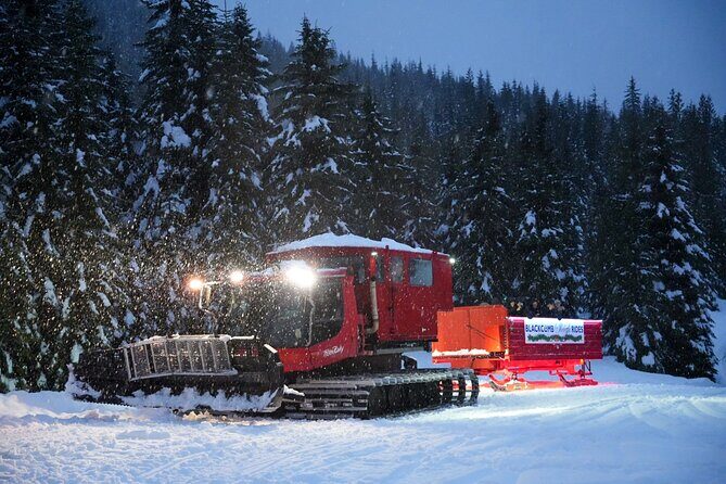 Family Après Dome and Sleigh Ride in Whistler - Practical Tips for Travelers