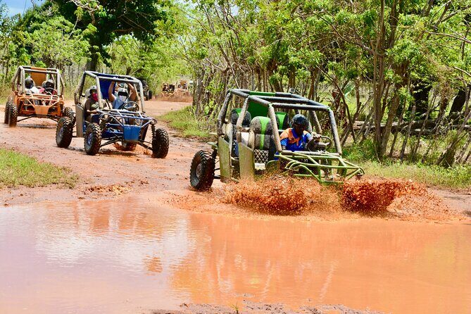 Family Buggy Adventure in Punta Cana Up to 4 People per Vehicle - FAQ: Your Practical Questions Answered