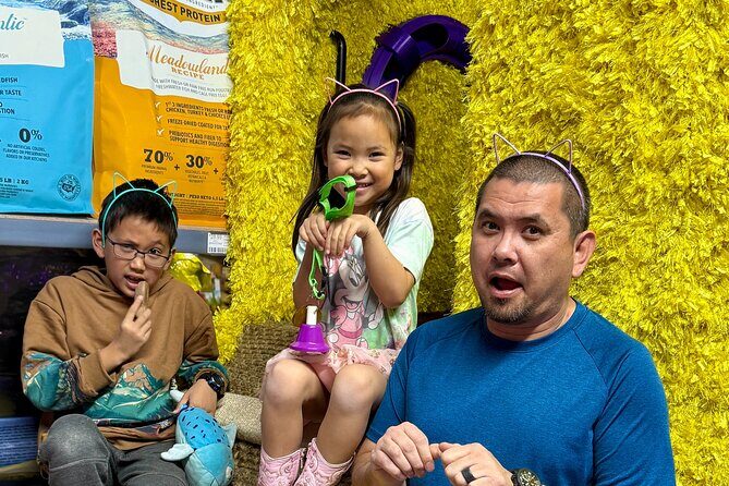 Family Cat Adventure Escape Room - Key Points