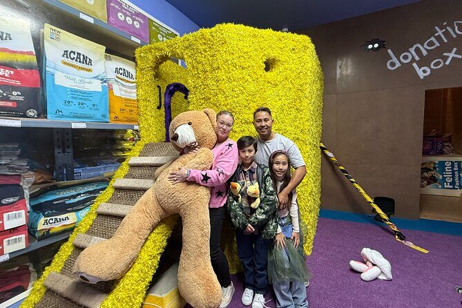 Family Cat Adventure Escape Room - Why This Escape Room Is Worth Considering