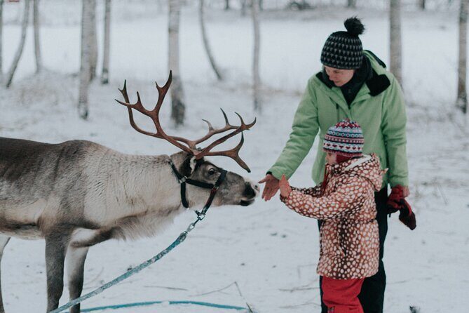 Family day: Reindeer, Husky and Snowmobiling in Levi - Key Points