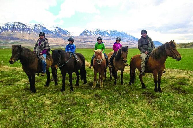 Family Friendly Horse Riding Tour in Skagafjörður - Family Friendly Horse Riding Tour in Skagafjörður: A Genuine Icelandic Adventure