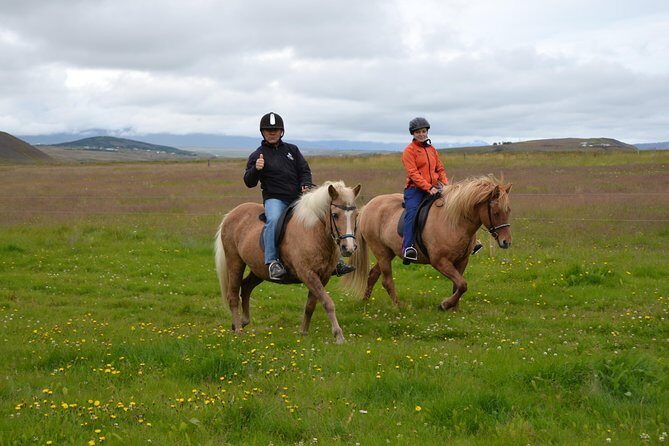 Family Friendly Horse Riding Tour in Skagafjörður - Key Points