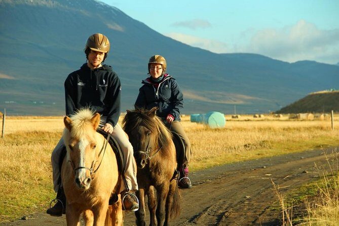Family Friendly Horse Riding Tour in Skagafjörður - The Sum Up: Why This Horse Riding Tour Is a Great Choice