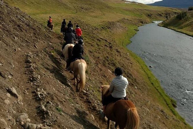 Family Friendly Horse Riding Tour in Skagafjörður - FAQs